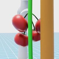 Dataset Image