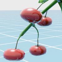 Dataset Image