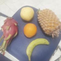 Dataset Image