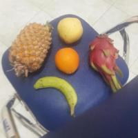 Dataset Image