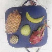 Dataset Image