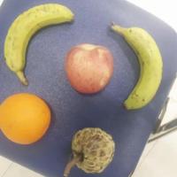 Dataset Image