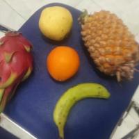 Dataset Image