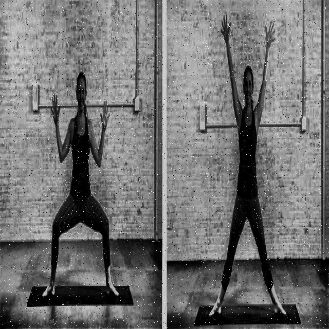 Dataset Image