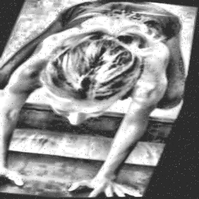 Dataset Image