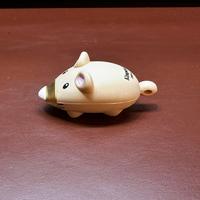 Dataset Image