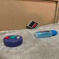 Dataset Image