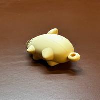 Dataset Image