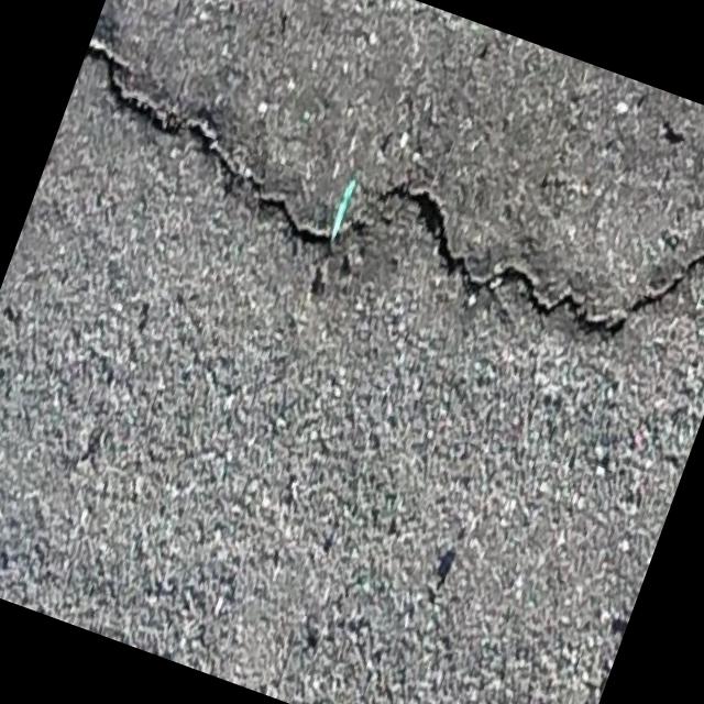 Dataset Image