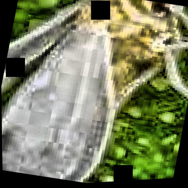 Dataset Image