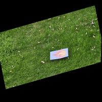 Dataset Image