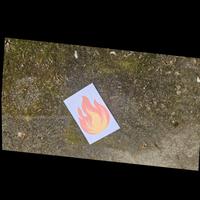 Dataset Image