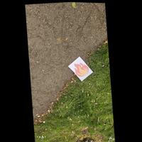 Dataset Image