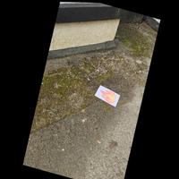 Dataset Image