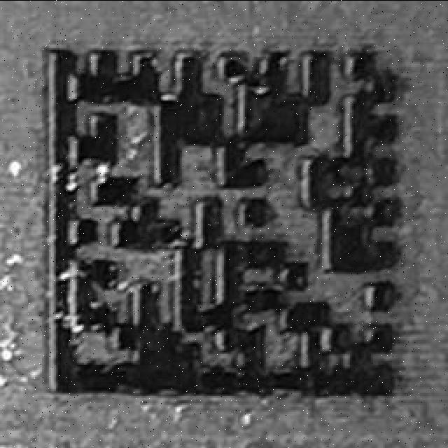 Dataset Image