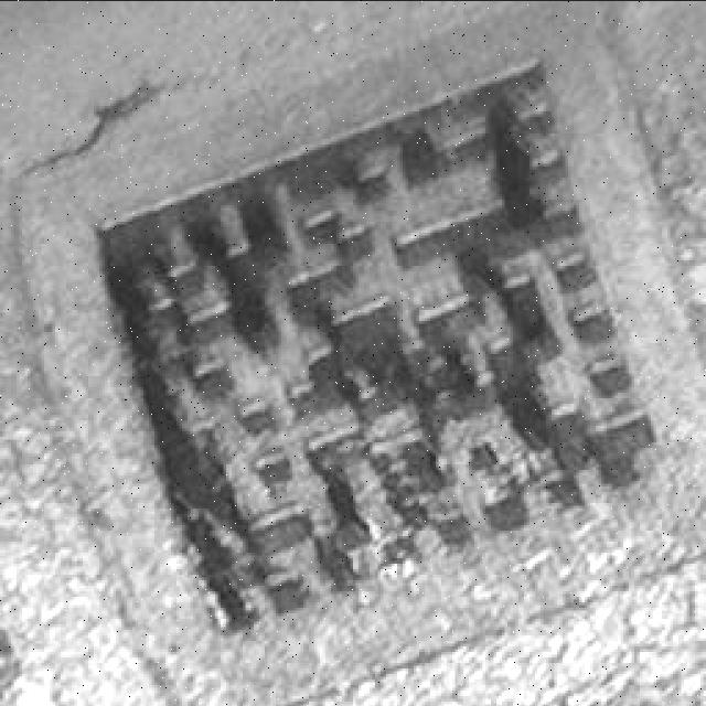 Dataset Image