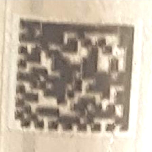 Dataset Image