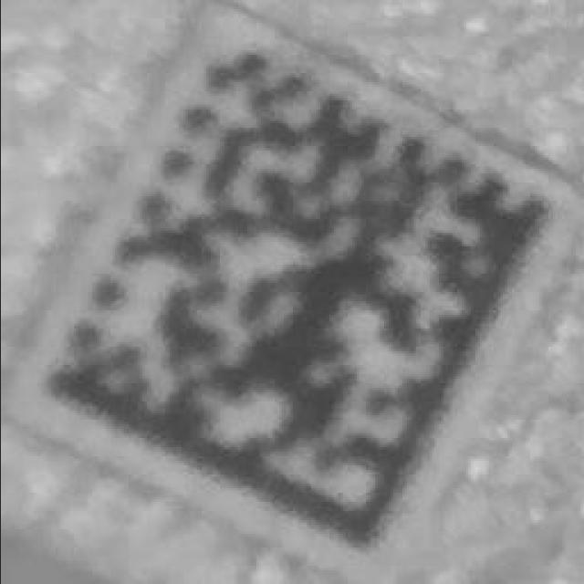 Dataset Image