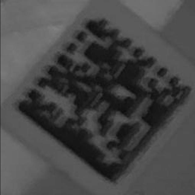 Dataset Image