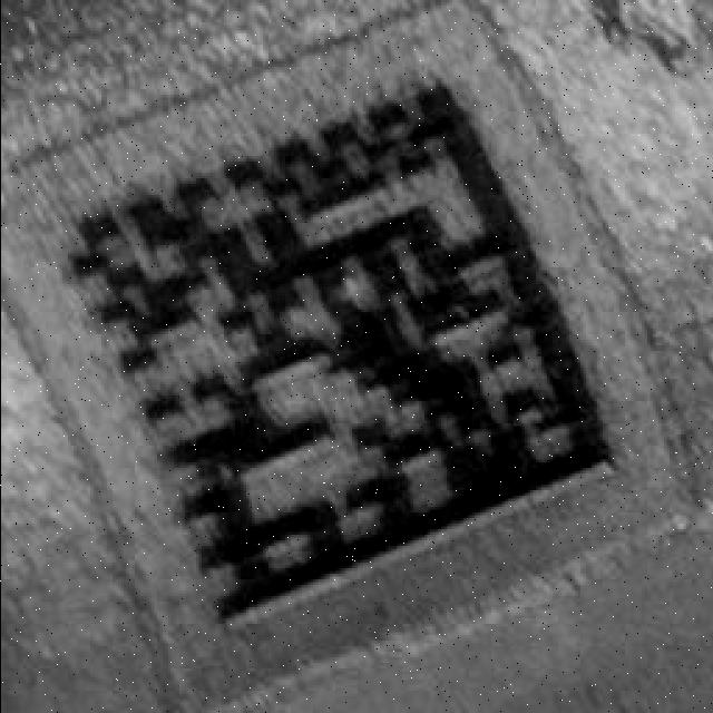 Dataset Image
