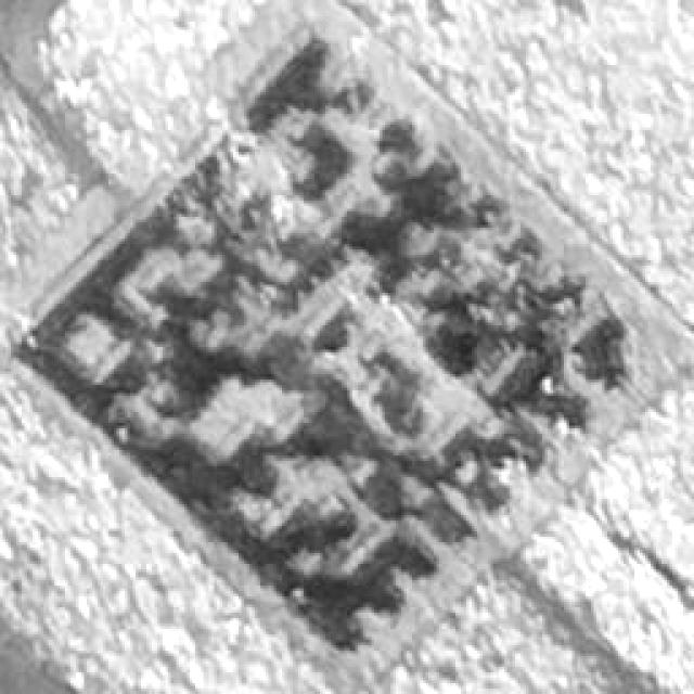 Dataset Image