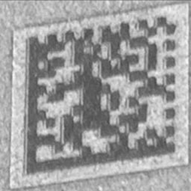 Dataset Image