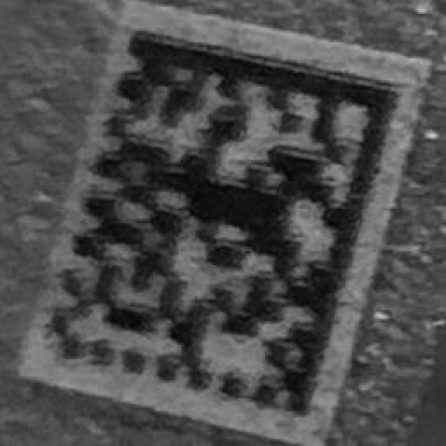 Dataset Image