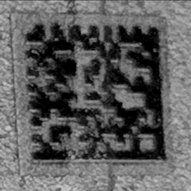 Dataset Image