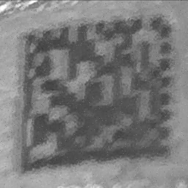 Dataset Image
