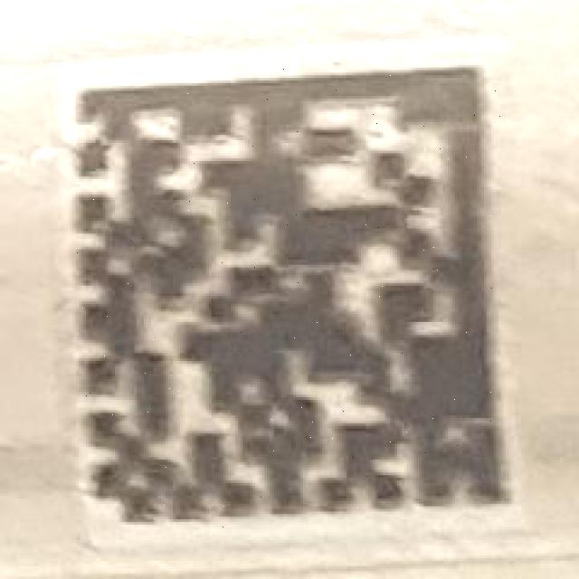 Dataset Image