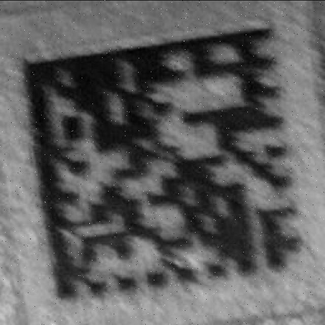 Dataset Image