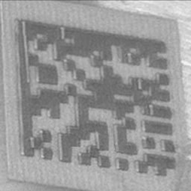 Dataset Image