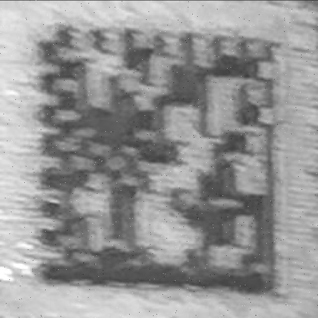 Dataset Image