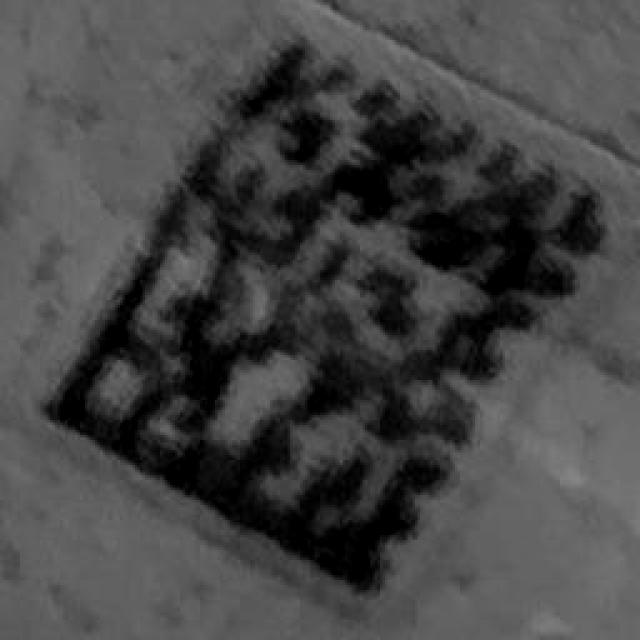 Dataset Image