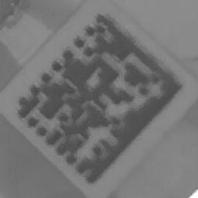 Dataset Image