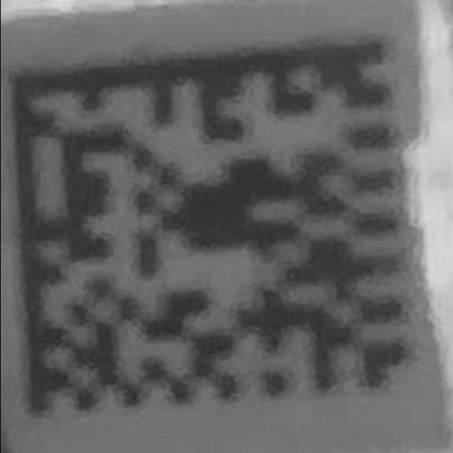 Dataset Image