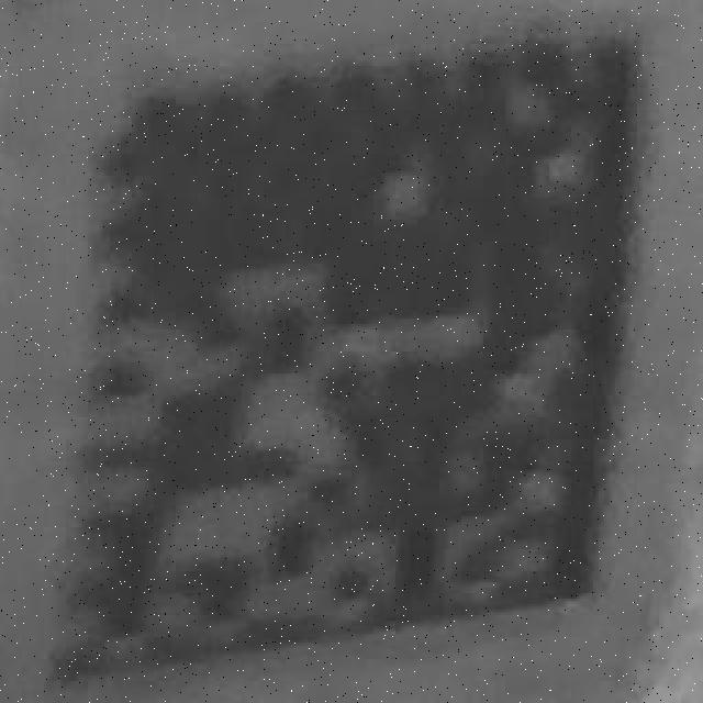 Dataset Image