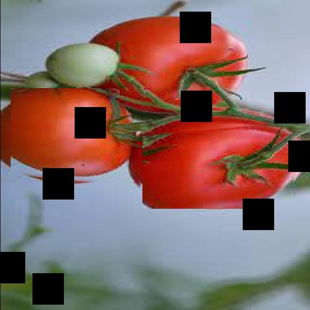 Dataset Image