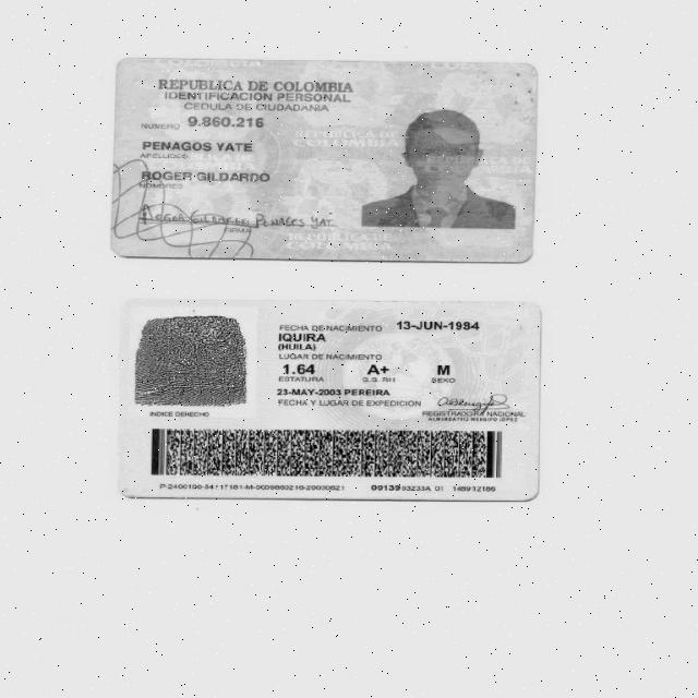 Dataset Image