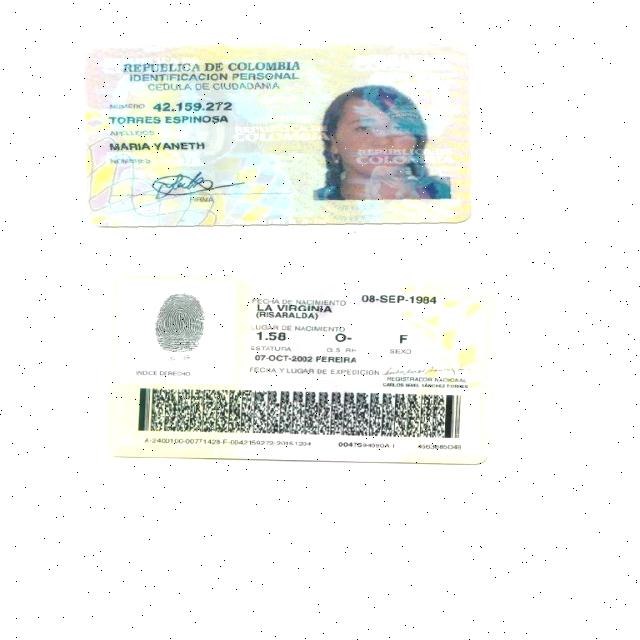 Dataset Image