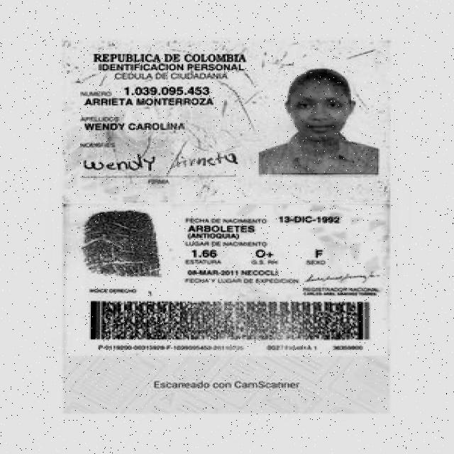 Dataset Image