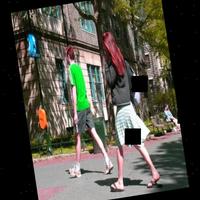 Dataset Image