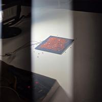 Dataset Image
