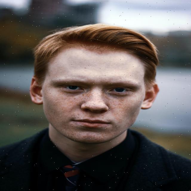 Dataset Image