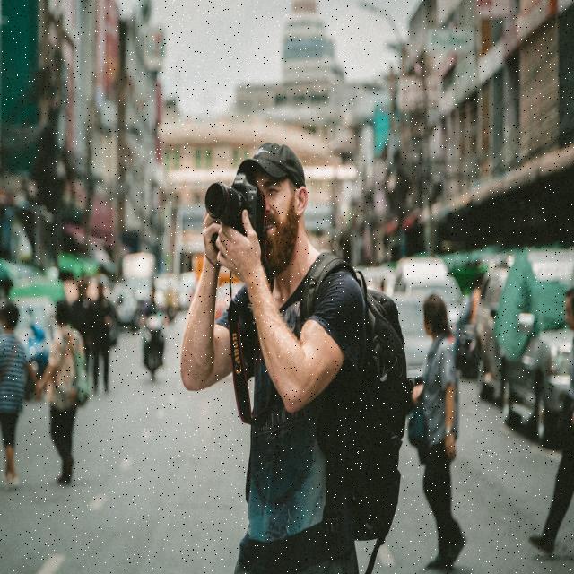 Dataset Image