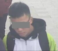 Dataset Image