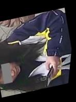 Dataset Image