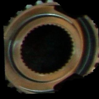 Dataset Image