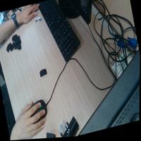 Dataset Image