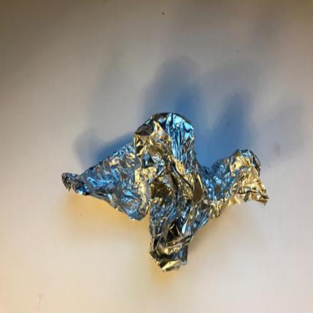 Dataset Image